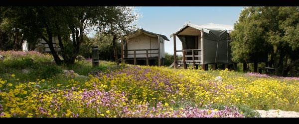 ajloun