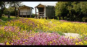 ajloun ajloun